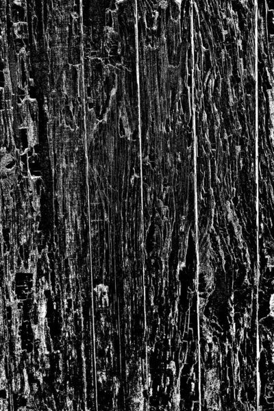 Abstract black and white grunge background. Monochrome texture.