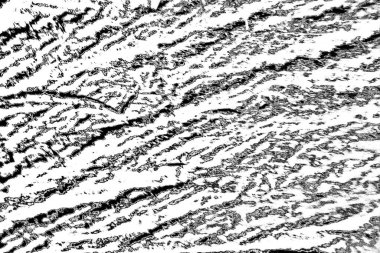 Soyut grunge arkaplanı. Monokrom dokusu. Siyah ve beyaz desenli arkaplan