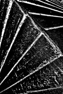 Soyut grunge arkaplanı. Monokrom dokusu. Siyah ve beyaz desenli arkaplan