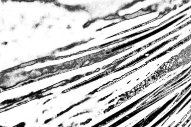 Soyut grunge arkaplanı. Monokrom dokusu. Siyah ve beyaz desenli arkaplan