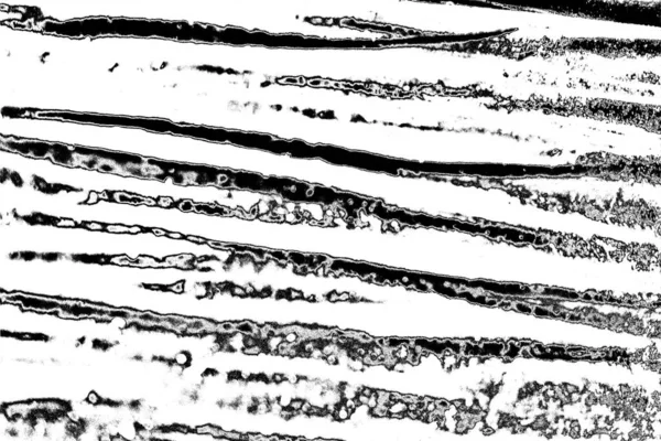 Fondo Grunge Abstracto Textura Monocromática Fondo Texturizado Blanco Negro — Foto de Stock