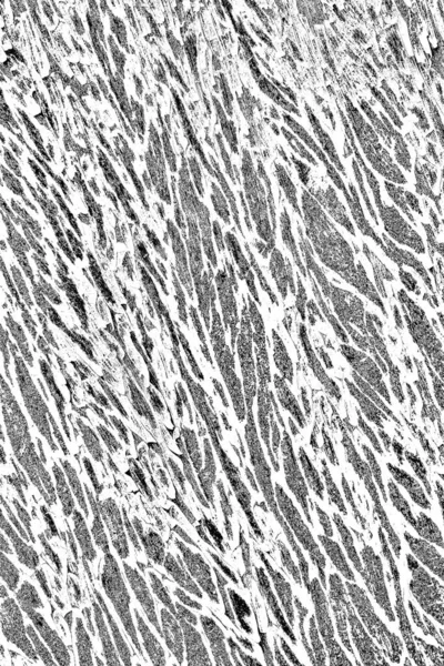 Абстрактный Гранж Фон Монохромная Текстура Черно Белый Текстурированный Фон — стоковое фото