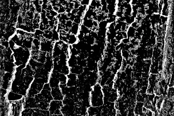 Fondo Grunge Abstracto Textura Monocromática Fondo Texturizado Blanco Negro — Foto de Stock