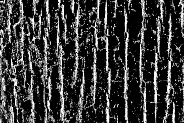 Abstract Grunge Background Monochrome Texture Black White Textured Background — Stock Photo, Image