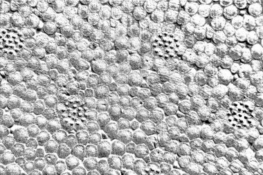 Soyut siyah-beyaz grunge arka planı. monokrom dokusu.