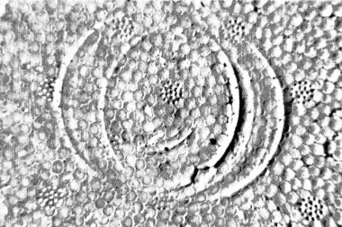 Soyut siyah-beyaz grunge arka planı. monokrom dokusu.