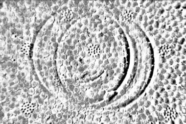 Soyut arkaplan. monokrom dokusu. resim siyah ve beyaz tonları içerir.