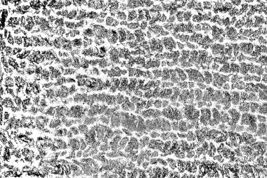Soyut arkaplan. monokrom dokusu. resim siyah ve beyaz tonları içerir.