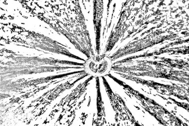 Soyut arkaplan. Monokrom dokusu. Siyah ve beyaz tonlar.