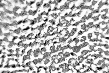 Soyut arkaplan. monokrom dokusu. resim siyah ve beyaz tonları içerir.