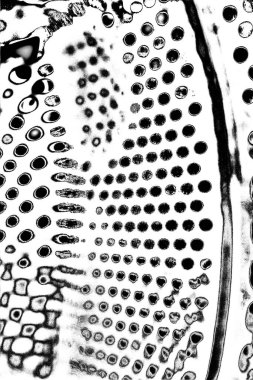 Soyut arkaplan. monokrom dokusu. resim siyah ve beyaz tonları içerir.