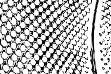 Soyut siyah-beyaz grunge arka planı. monokrom dokusu.