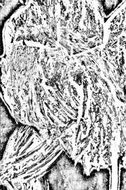 Soyut arkaplan. monokrom dokusu. resim siyah ve beyaz tonları içerir.