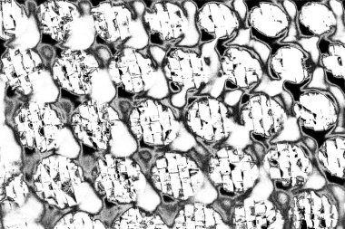 Soyut siyah-beyaz grunge arka planı. monokrom dokusu.