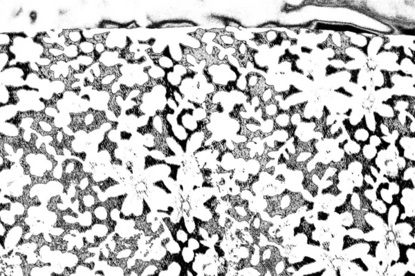摘要背景 单色纹理 黑白调 — 图库照片