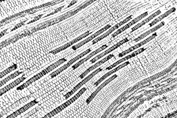 Черно Белый Фон Монохромная Текстура — стоковое фото