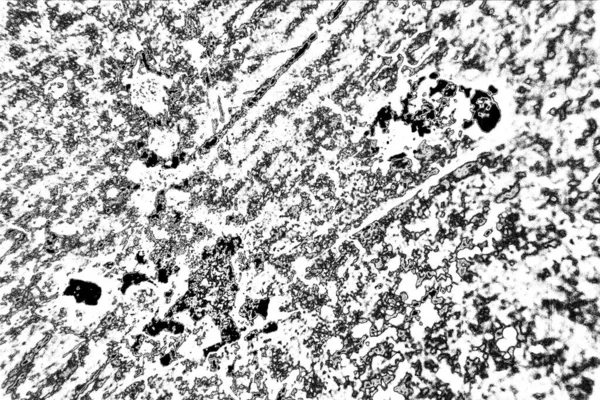 抽象的背景 单色纹理 包括黑白色调的效果 — 图库照片