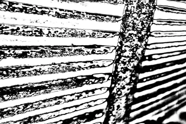 Sfondo Astratto Texture Monocromatica Immagine Compreso Effetto Toni Bianco Nero — Foto Stock