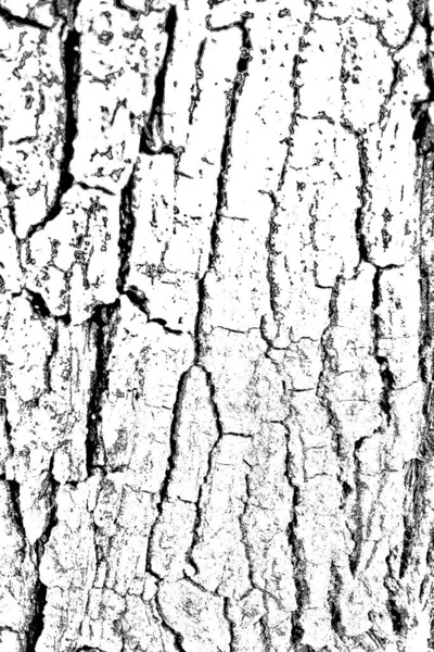 Черно Белый Фон Монохромная Текстура — стоковое фото
