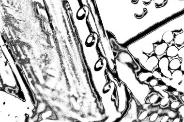 Soyut siyah-beyaz grunge arka planı. monokrom dokusu.