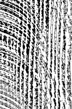 Soyut arkaplan. monokrom dokusu. resim siyah ve beyaz tonları içerir.