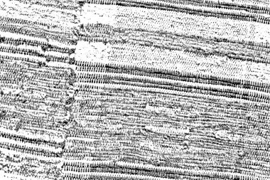 Soyut grunge arkaplanı. Monokrom dokusu. Siyah ve beyaz desenli arkaplan