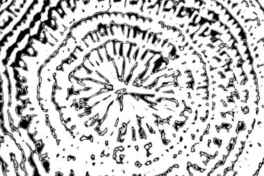 Soyut arkaplan. Monokrom dokusu. Siyah ve beyaz tonlar.