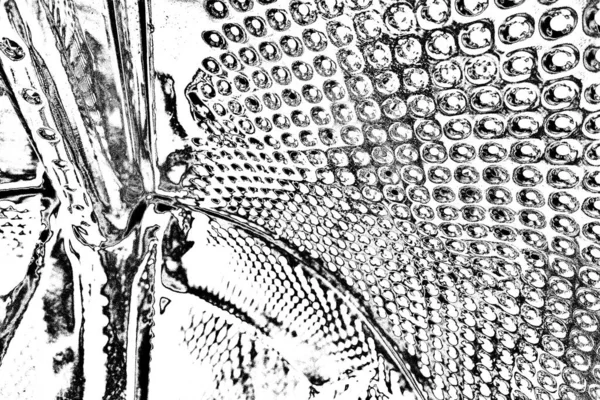 Fondo Grunge Abstracto Blanco Negro Textura Monocromática —  Fotos de Stock