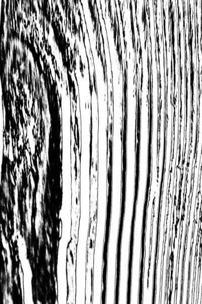 Fundo Abstrato Textura Monocromática Imagem Incluindo Efeito Tons Preto Branco — Fotografia de Stock