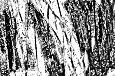 Soyut grunge arkaplanı. Monokrom dokusu. Siyah ve beyaz desenli arkaplan