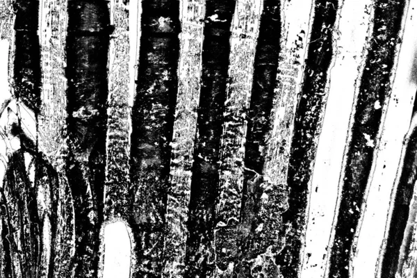 Résumé Fond Grunge Texture Monochrome Fond Texturé Noir Blanc — Photo