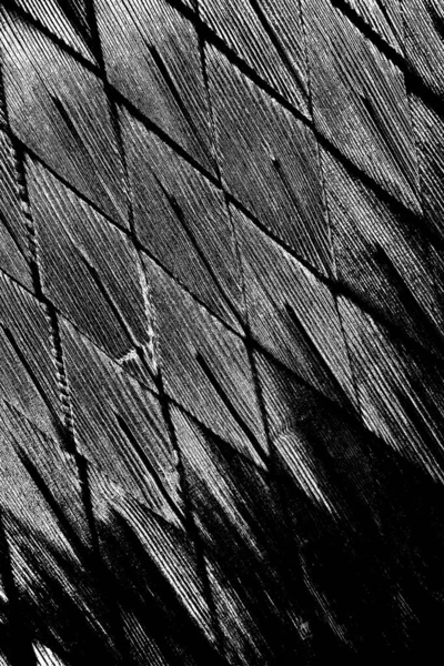 Abstract Background Monochrome Texture Black White Tones — Stock Photo, Image