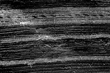 Soyut siyah-beyaz grunge arka planı. monokrom dokusu.