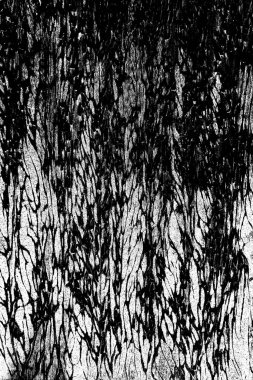 Soyut grunge arkaplanı. Monokrom dokusu. Siyah ve beyaz desenli arkaplan