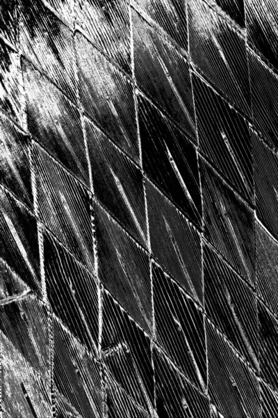 Fundo Grunge Abstrato Textura Monocromática Preto Branco Texturizado Fundo — Fotografia de Stock