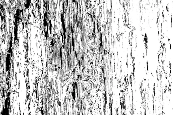 Soyut arkaplan. Monokrom dokusu. Siyah ve beyaz tonlar.