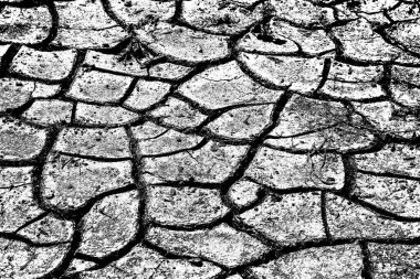 Soyut arkaplan. Monokrom dokusu. Siyah ve beyaz tonlar.