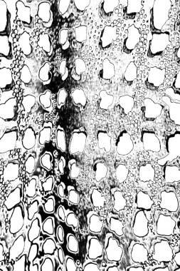 Soyut arkaplan. Monokrom dokusu. Siyah ve beyaz tonlar.