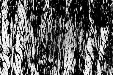 Soyut grunge arkaplanı. Monokrom dokusu. Siyah ve beyaz desenli arkaplan