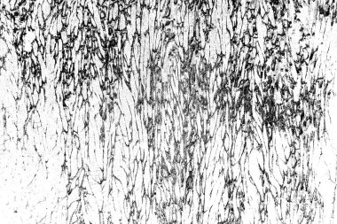 Soyut arkaplan. Monokrom dokusu. Siyah ve beyaz tonlar.