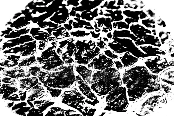 Abstract Background Monochrome Texture Black White Tones — Stock Photo, Image