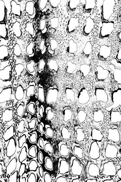Abstrakt Bakgrund Monokrom Konsistens Svartvita Toner — Stockfoto