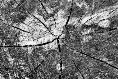 Soyut grunge arkaplanı. Monokrom dokusu. Siyah ve beyaz desenli arkaplan