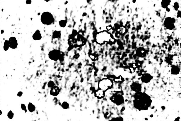 Absztrakt Grunge Háttér Monokróm Textúra Kép Beleértve Hatást Fekete Fehér — Stock Fotó