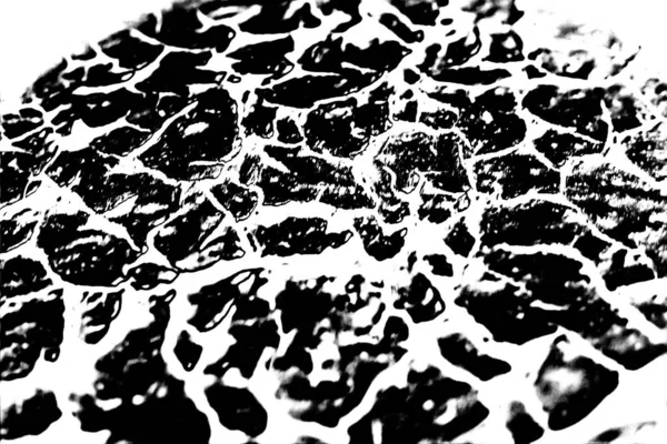 Résumé Fond Grunge Texture Monochrome Fond Texturé Noir Blanc — Photo