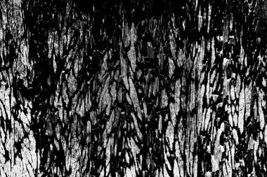 Siyah ve beyaz arkaplanlı tek renkli doku.