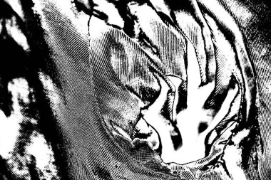 Soyut arkaplan. monokrom dokusu. resim siyah ve beyaz tonları içerir.