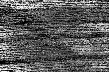 Siyah ve beyaz arkaplanlı tek renkli doku.