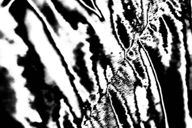 Soyut grunge arkaplanı. Monokrom dokusu. Siyah ve beyaz desenli arkaplan