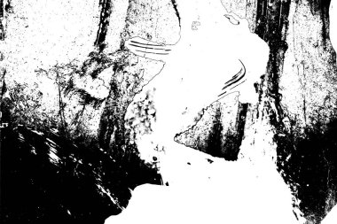 Siyah ve beyaz arkaplanlı tek renkli doku.